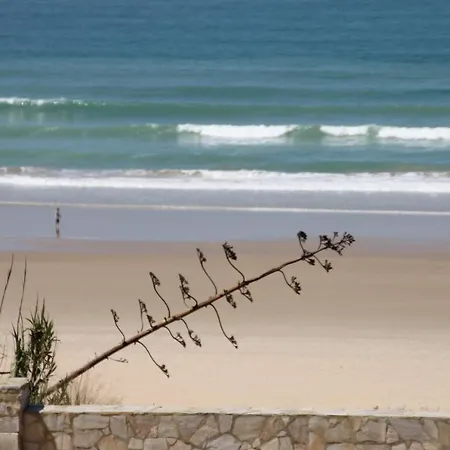 Apartmán Centro Conil Conil De La Frontera