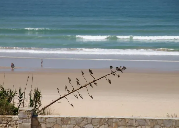 Apartmán Centro Conil Conil De La Frontera